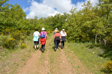 Obraz premium familia de excursion caminando por el monte
