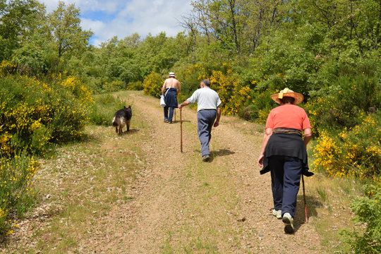 grupo de personas mayores caminando por el monte