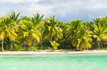 Palm trees over stunning lagoon and white sandy beach - 65901186