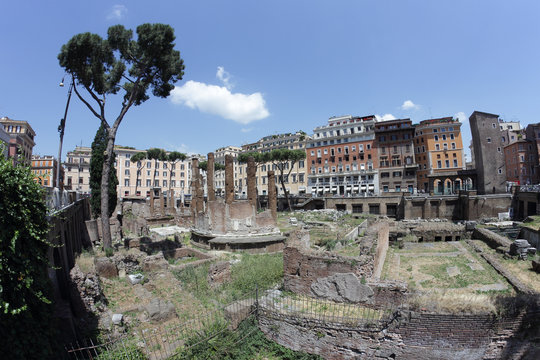 Largo di Torre Argentina in Rome, Italy
