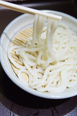 udon noodles