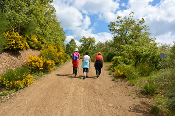 tres mujeres caminando por un camino en el monte