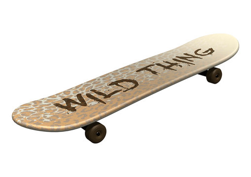 Skateboard