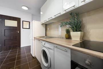 Modern kitchen interior