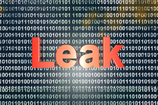 Memory Leak