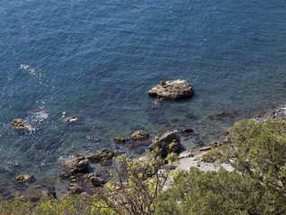 Diving in the Crimea