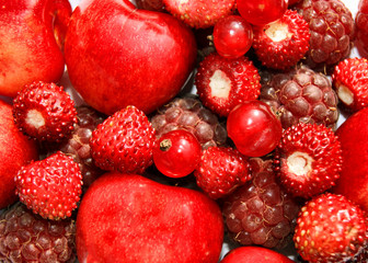 Rote Früchte