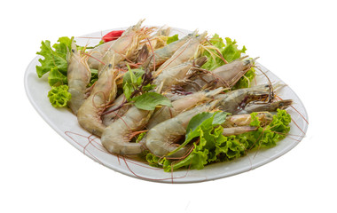 Raw tiger shrimps