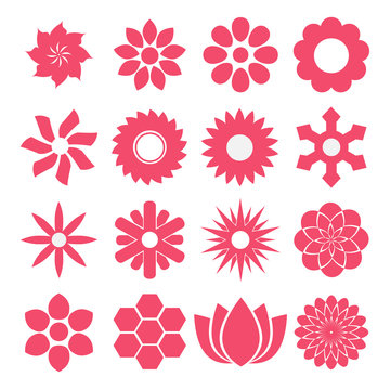 Vector of Flowers in pink