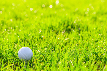 golf ball on a stand in the green juicy grass