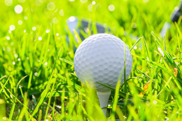 golf ball and putter on the field