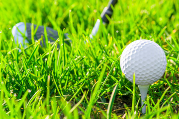 White golf ball on green grass