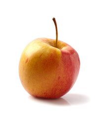 fresh red apple