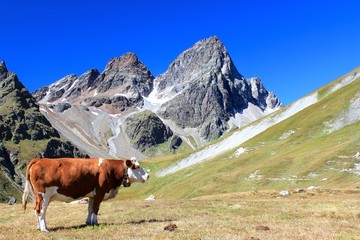 Kleiner und Grosser Piz Buin / Schweiz