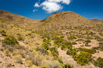 Cabo de Gata National Park, Andalusia, Spain