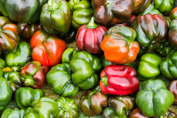 Obraz na płótnie Canvas Group of fresh sweet peppers.