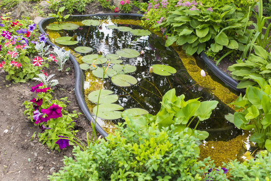 fragment garden with an artificial pond
