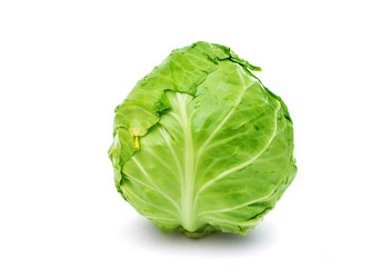 cabbage isolated