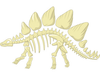 Stegosaurus skeleton © tigatelu