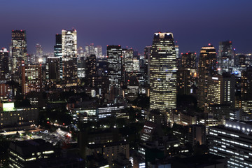 Fototapeta na wymiar Tokyo cityscape at night
