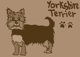 Yorkshire Terrier vintage