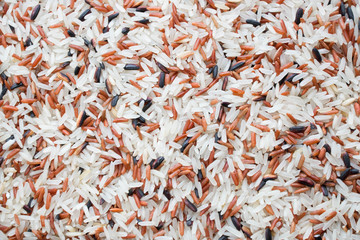 Rice berry grain background