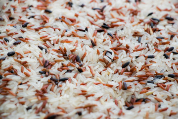 Rice berry grain background