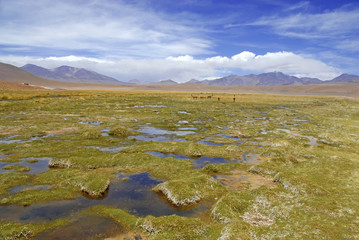 Remote Landscape of Atacama Desert, Chile