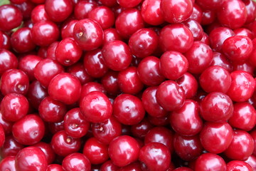 Kirschen
