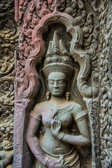 Fototapeta na wymiar Wat Ta Prohm