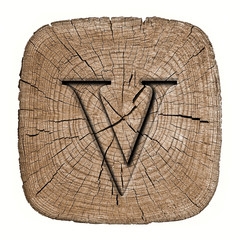 Wooden alphabet block, letter v