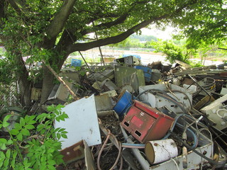 木々とガラクタ