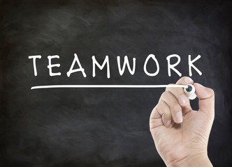 Fototapeta premium Teamwork with hand writing