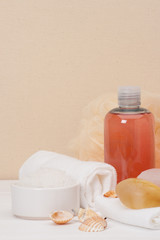 Obraz na płótnie Canvas Liquid Soap, Aromatic Bath Salt And Other Toiletry