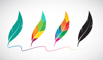 Vector group of feather