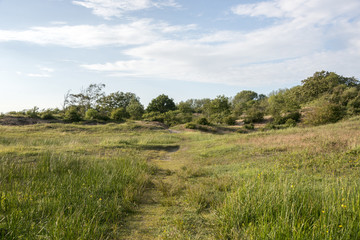 Obraz premium blue sky and green grass in nature