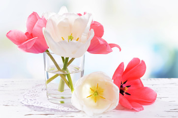 Beautiful tulips in bucket in vase on table on light background