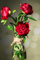 Beautiful pink peonies in vase on light background