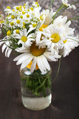 Beautiful bouquet of daisies on wooden background
