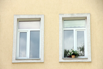 Windows with flowers in pots