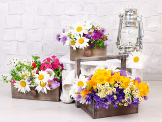 Beautiful flowers in crates on small ladder on light background