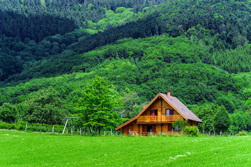 Fototapeta premium Beautiful vivid green fields in Alsace