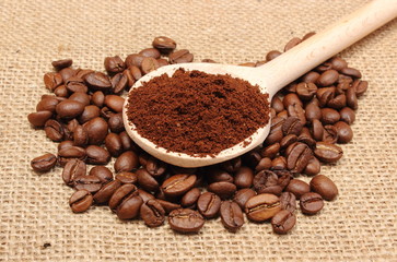 Ground coffee on wooden scoop and grains coffee