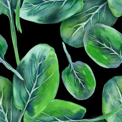 Panele Szklane Podświetlane  Spinach Seamless Pattern