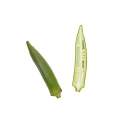 Close - up Okra vegetables on white background