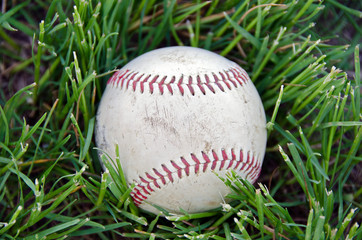 baseball in grass