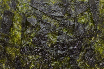 Japanese food nori dry seaweed or edible seaweed