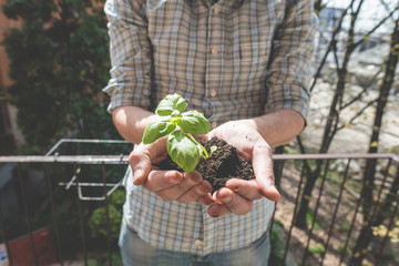 close up of hand holding bud