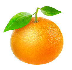 Isolated citrus fruit. One tangerine or orange with leaves isolated on white background