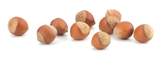 hazelnut or filbert nut isolated on white background cutout